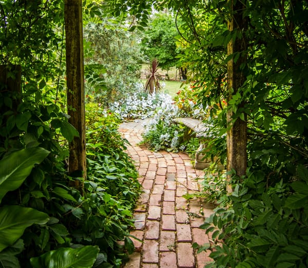 A red cobblestone path cuts through thick foliage and flowers. To the side is a stone bench.